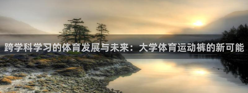 杏悦平台