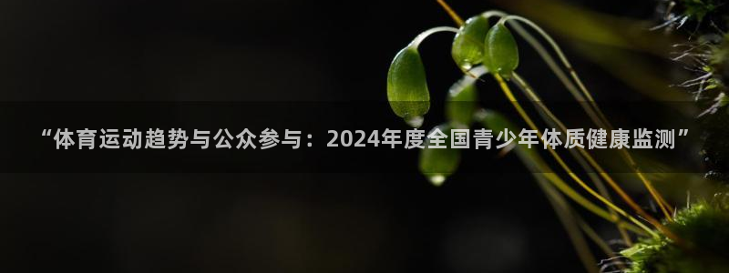 杏悦主管