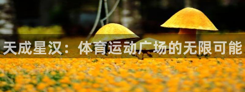 杏悦体育eon