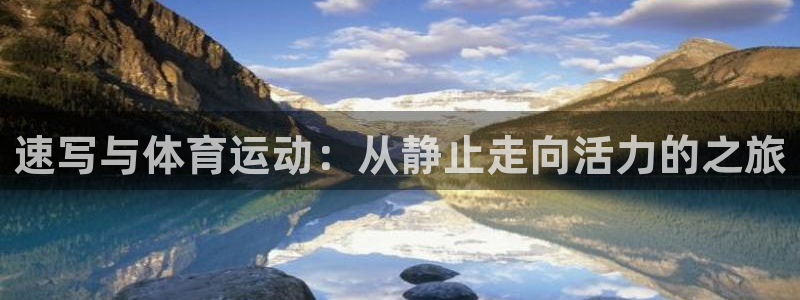杏悦2平台注册开户