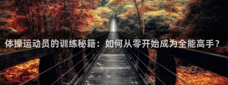 杏悦体育平台总代理
