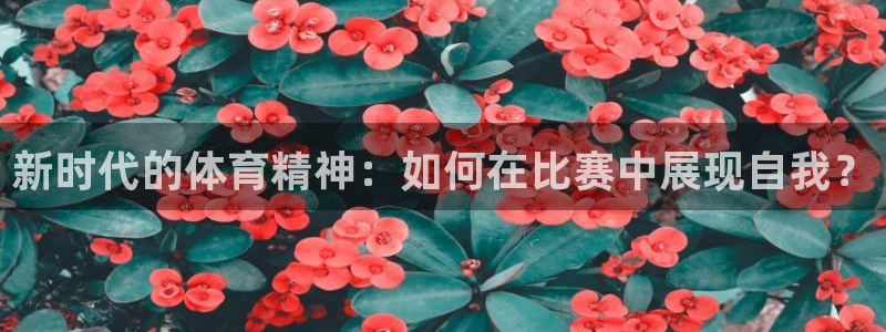 杏悦体育注册登录入口
