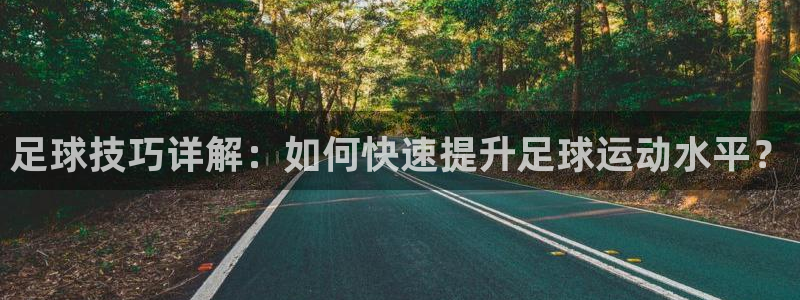 杏悦体育免费注册入口