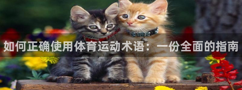 www.杏悦体育.com