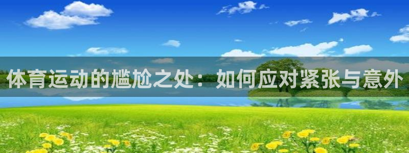 杏悦vk