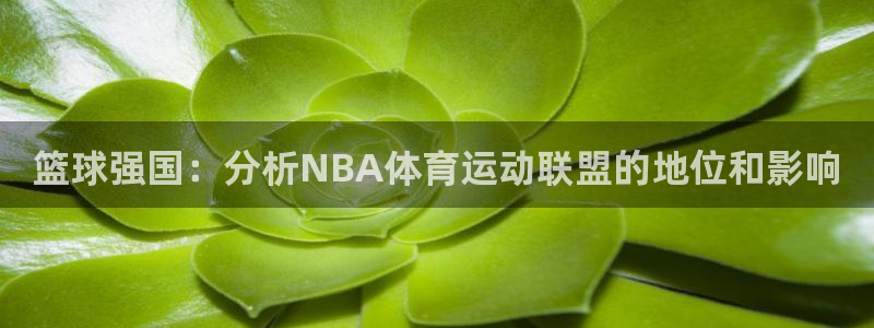 杏悦体育官网登录