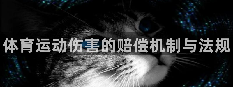 杏悦平台开户链接