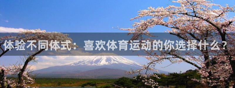 杏悦电子有限公司