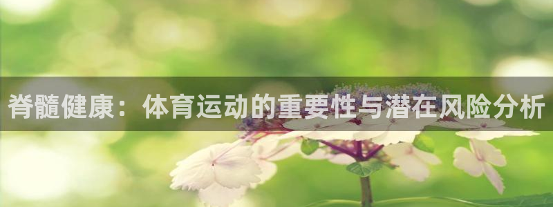 杏悦集团股票