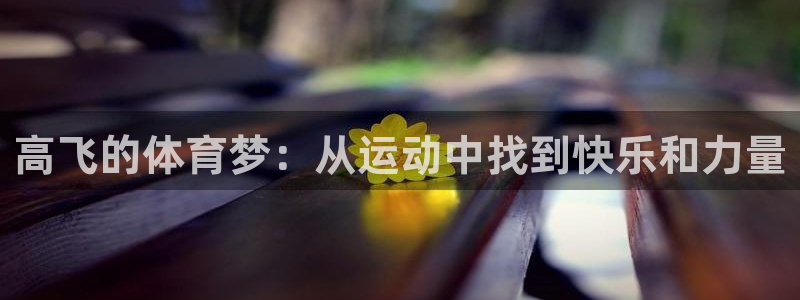 杏悦体育凯捷平台代理