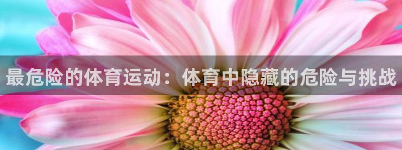 杏悦4