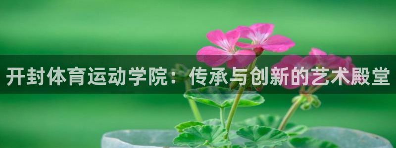 杏悦能源
