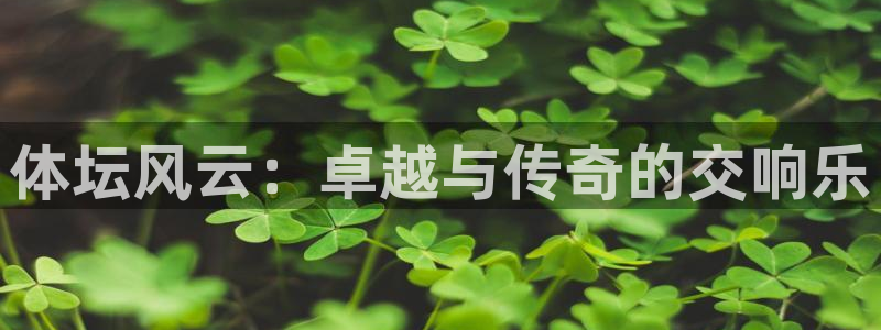 杏悦体育凯捷平台注册