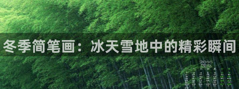 杏悦体育游戏