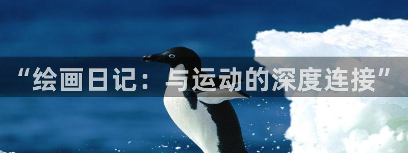 杏悦体育2