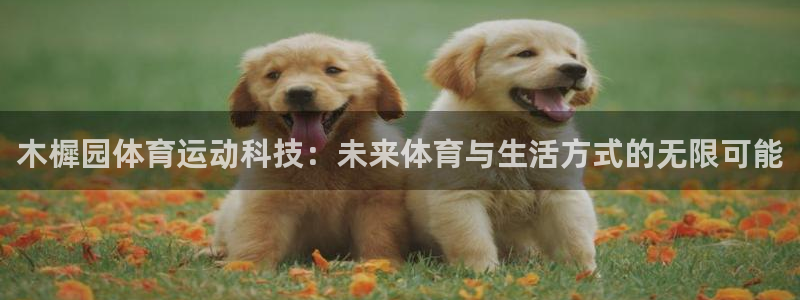 杏悦登录注册