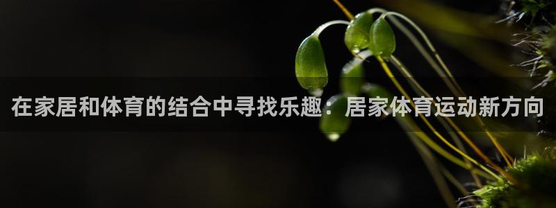 杏悦代理注册官网入口