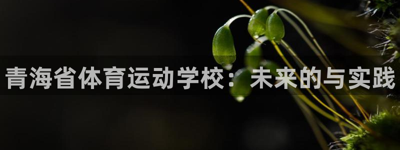 杏悦2登录入口