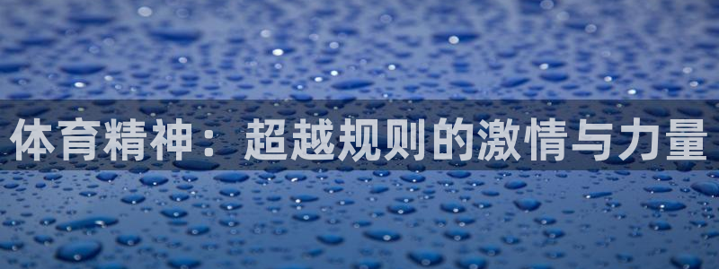 杏悦体育平台总代理