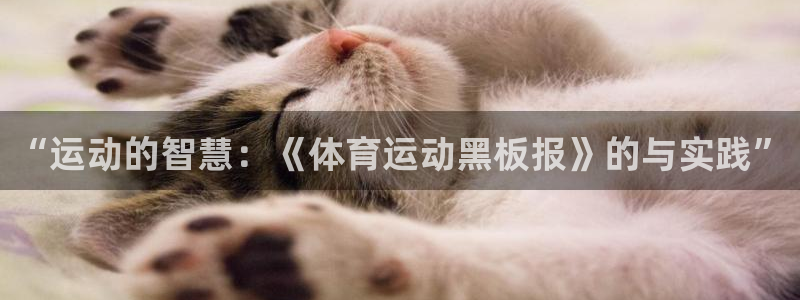 杏悦4平台注册