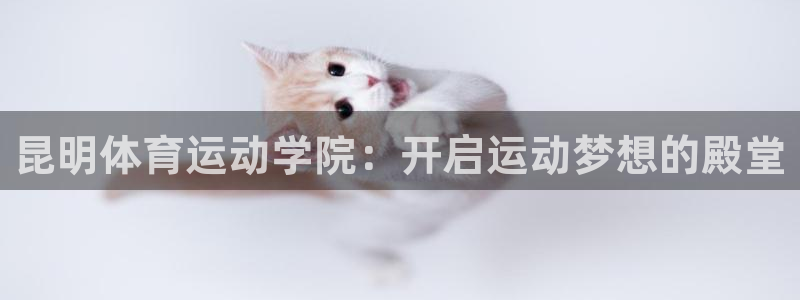 杏悦2体育登录入口